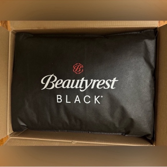 🎉LAST CHANCE🎉BEAUTYREST BLACK Luxurious Down And Feather Blend Pillow - Picture 8 of 12